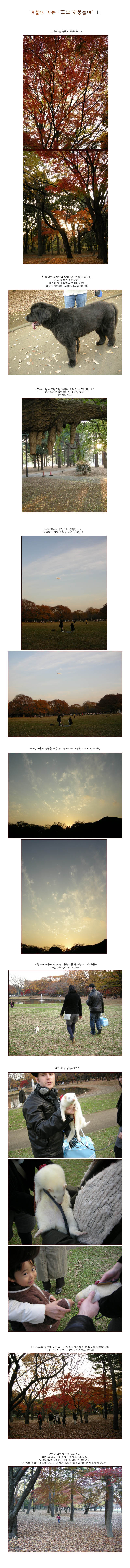 [ �� �� ] �ܿ￡ ���� '���� ��ǳ����' ��